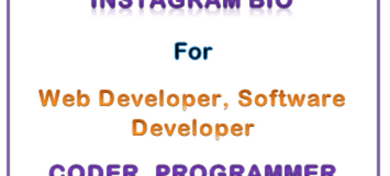 Best Instagram Bio for Web Developer With Emoji 2023