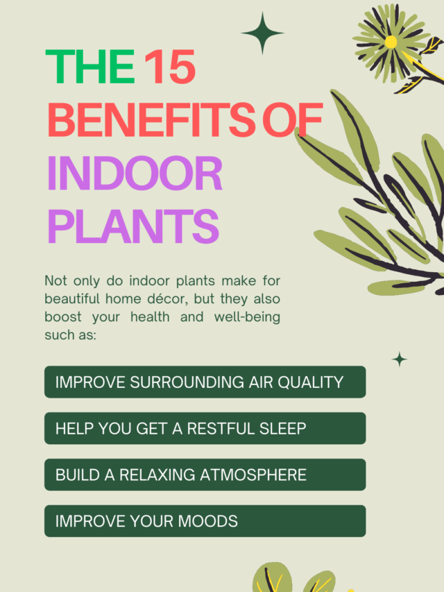 15 Benefits of Keeping Indoor Plants inside a Home